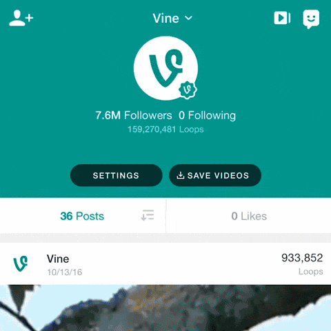 How to download Vine looping videos